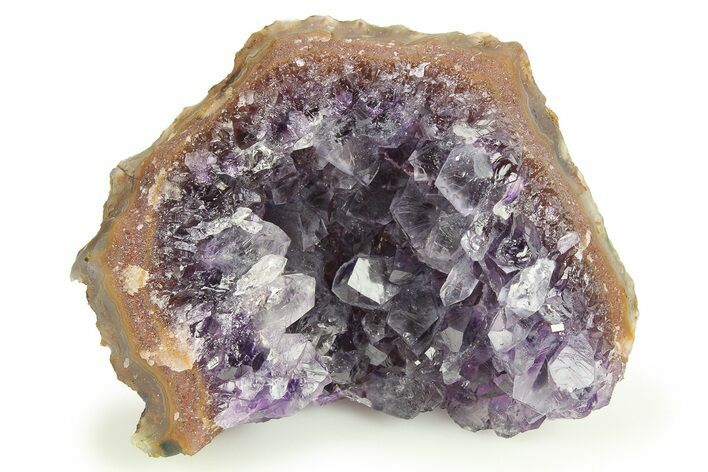 Sparkling Purple Amethyst Crystal Cluster - Uruguay #276158